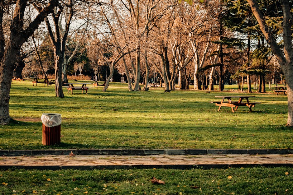 A park scene in the late afternoon featuring a well-maintained grassy area with several wooden picnic tables arranged under a canopy of leafless trees, suggesting autumn or early winter. The trees have textured bark in shades of grey and brown, with their branches extending outward and upward. In the foreground, a cylindrical outdoor waste bin made of vertical wooden slats with a white plastic bag liner is positioned near the edge of a paved walkway, which runs horizontally across the bottom of the image. The pavement appears to be made of concrete or stone slabs, showing slight weathering. The background reveals additional trees and a glimpse of distant park features, illuminated by warm, soft sunlight that creates gentle shadows and highlights the natural tones of the scene. The setting evokes a quiet, tidy outdoor space suitable for public gatherings or leisure, with a subtle focus on waste management and cleanliness, aligning naturally with private rubbish removal services such as those offered by Rubbish Clearance Hounslow for maintaining outdoor environments.