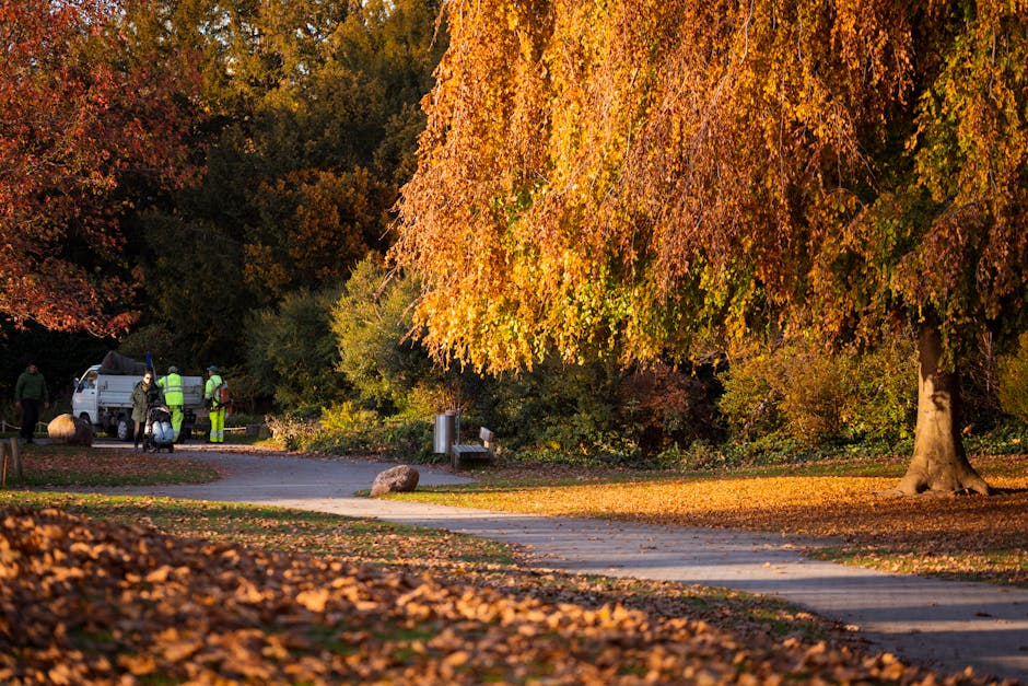 A park scene in the late afternoon featuring a well-maintained grassy area with several wooden picnic tables arranged under a canopy of leafless trees, suggesting autumn or early winter. The trees have textured bark in shades of grey and brown, with their branches extending outward and upward. In the foreground, a cylindrical outdoor waste bin made of vertical wooden slats with a white plastic bag liner is positioned near the edge of a paved walkway, which runs horizontally across the bottom of the image. The pavement appears to be made of concrete or stone slabs, showing slight weathering. The background reveals additional trees and a glimpse of distant park features, illuminated by warm, soft sunlight that creates gentle shadows and highlights the natural tones of the scene. The setting evokes a quiet, tidy outdoor space suitable for public gatherings or leisure, with a subtle focus on waste management and cleanliness, aligning naturally with private rubbish removal services such as those offered by Rubbish Clearance Hounslow for maintaining outdoor environments.